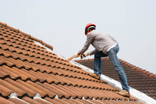 Best Roof Coating and Sealing  in Duluth, WA